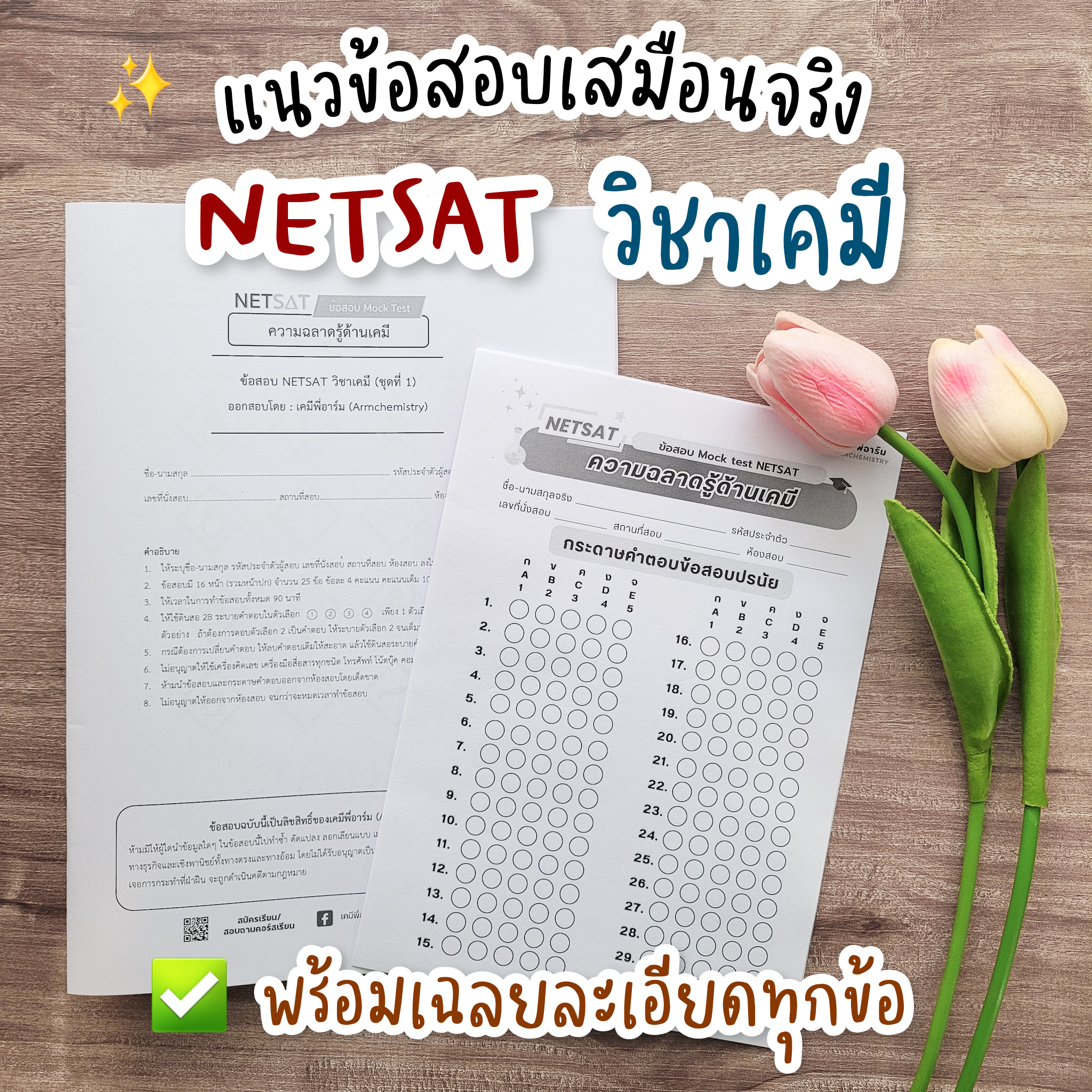 ตัวอย่างข้อสอบ Mock Test NETSAT 1
