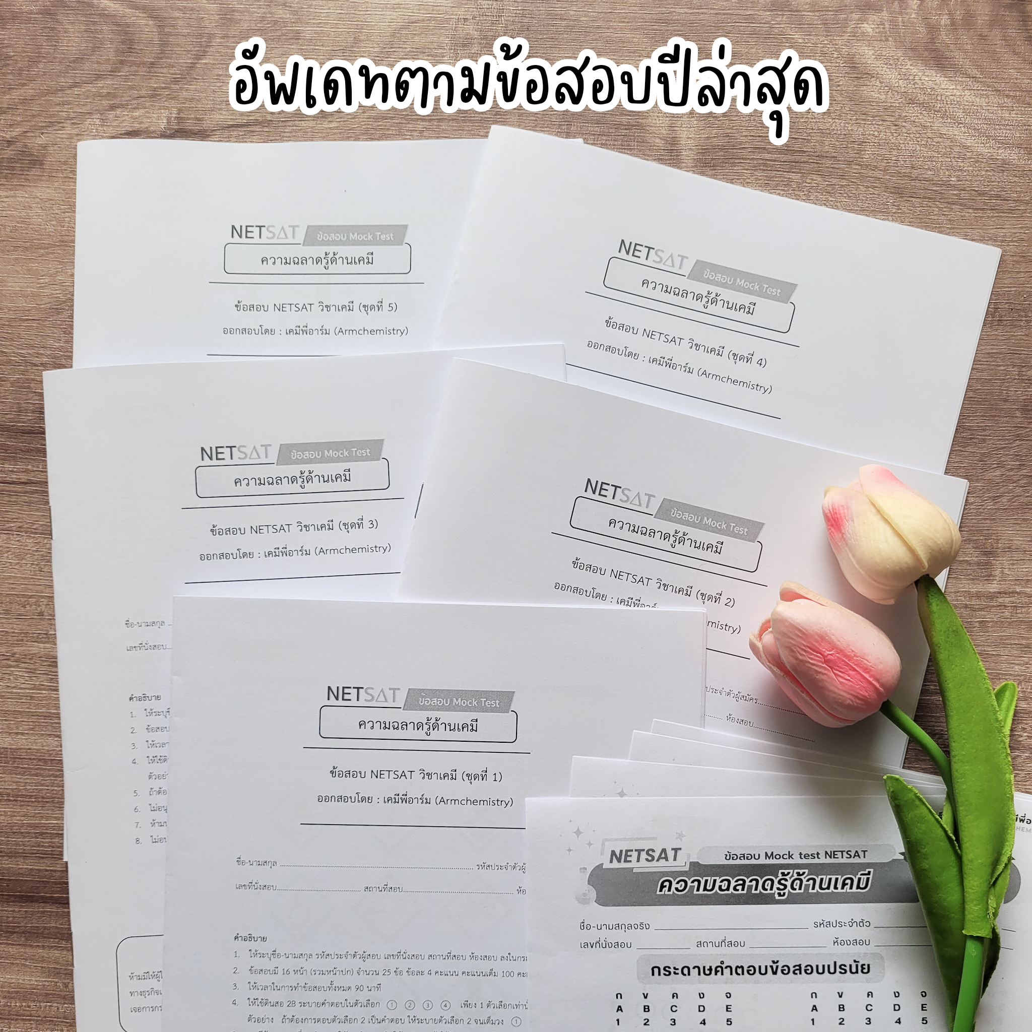ตัวอย่างข้อสอบ Mock Test NETSAT 2