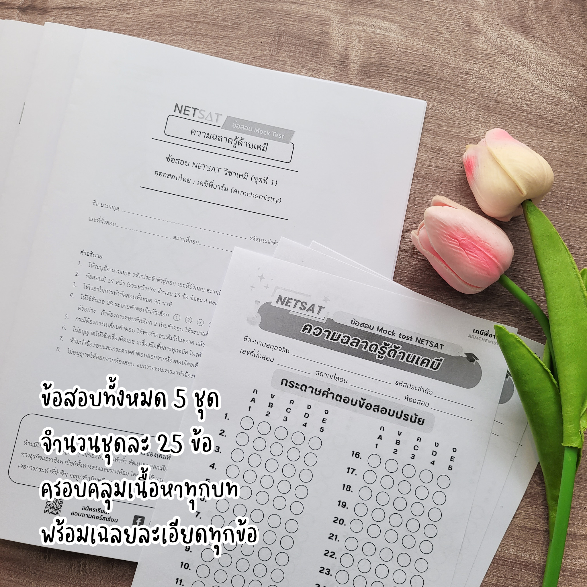 ตัวอย่างข้อสอบ Mock Test NETSAT 3